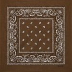 Bedeutung-braunes-Bandana